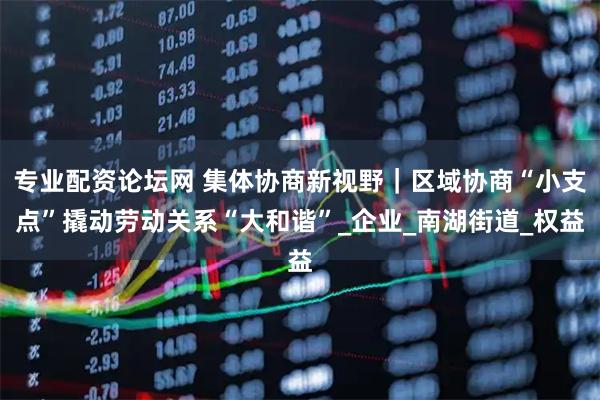 专业配资论坛网 集体协商新视野｜区域协商“小支点”撬动劳动关系“大和谐”_企业_南湖街道_权益