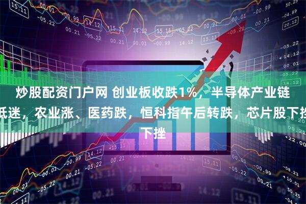 炒股配资门户网 创业板收跌1%，半导体产业链低迷，农业涨、医药跌，恒科指午后转跌，芯片股下挫
